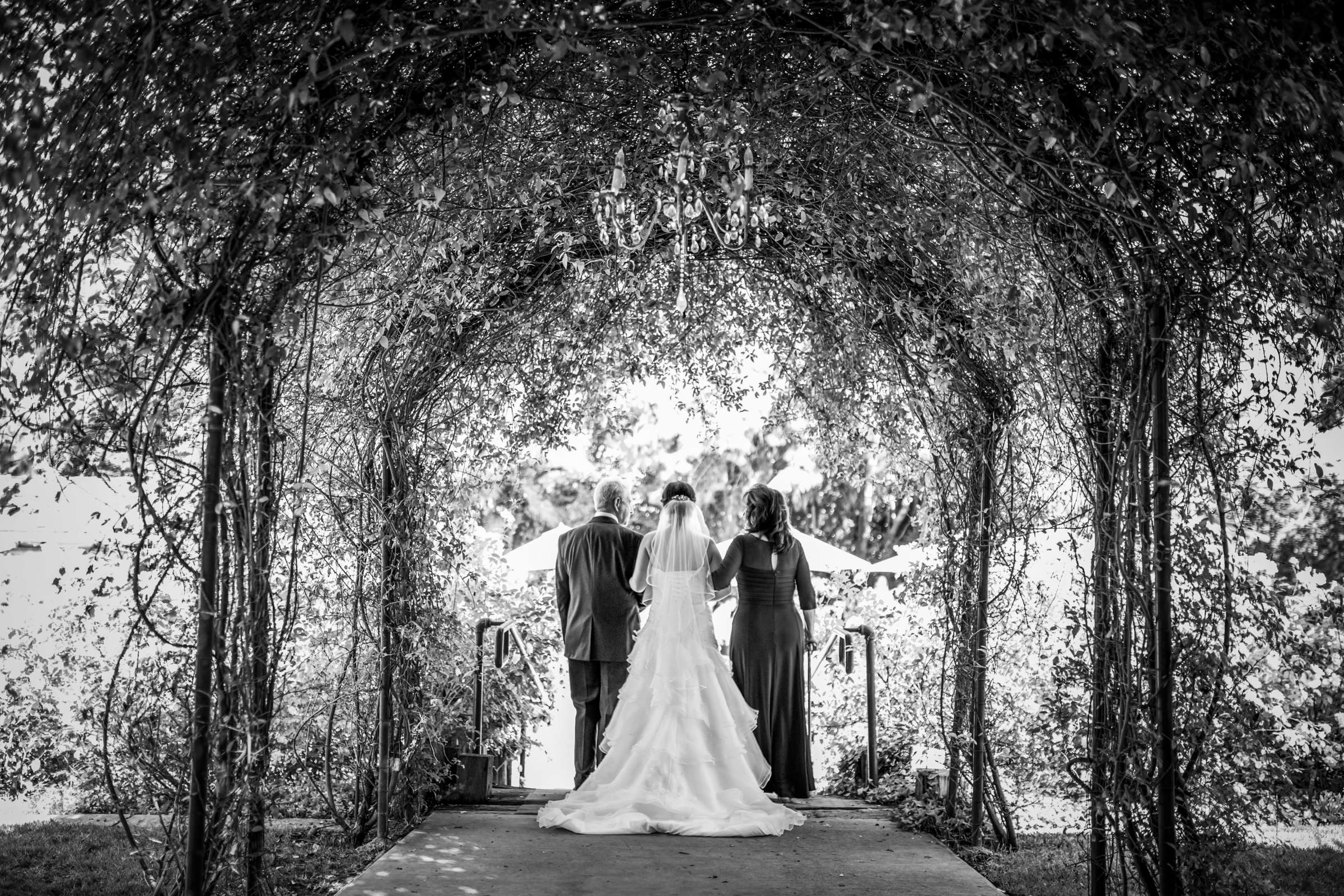 Photographers Favorite at Green Gables Wedding Estate Wedding, Amanda and Paul Wedding Photo #68 by True Photography