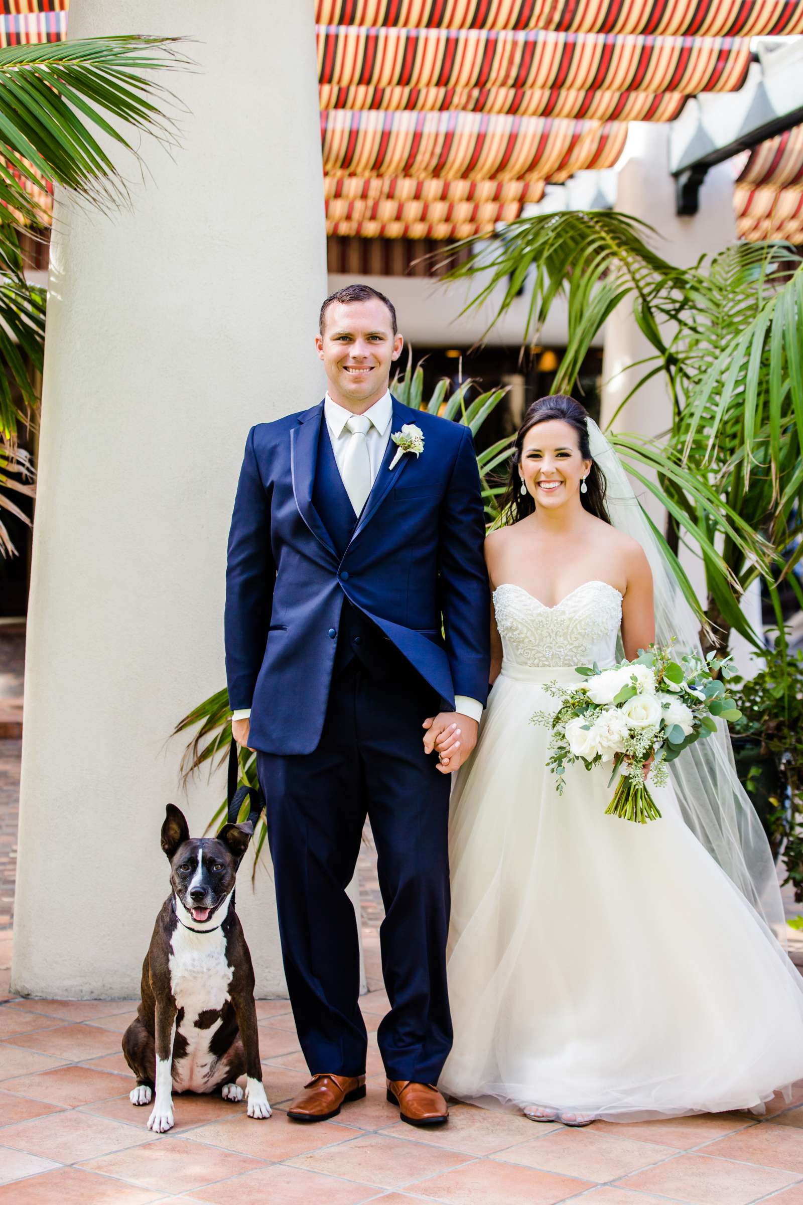 Formal Portrait, Pets at Bahia Hotel Wedding coordinated by Bahia Hotel, Alaina and Stephen Wedding Photo #39 by True Photography