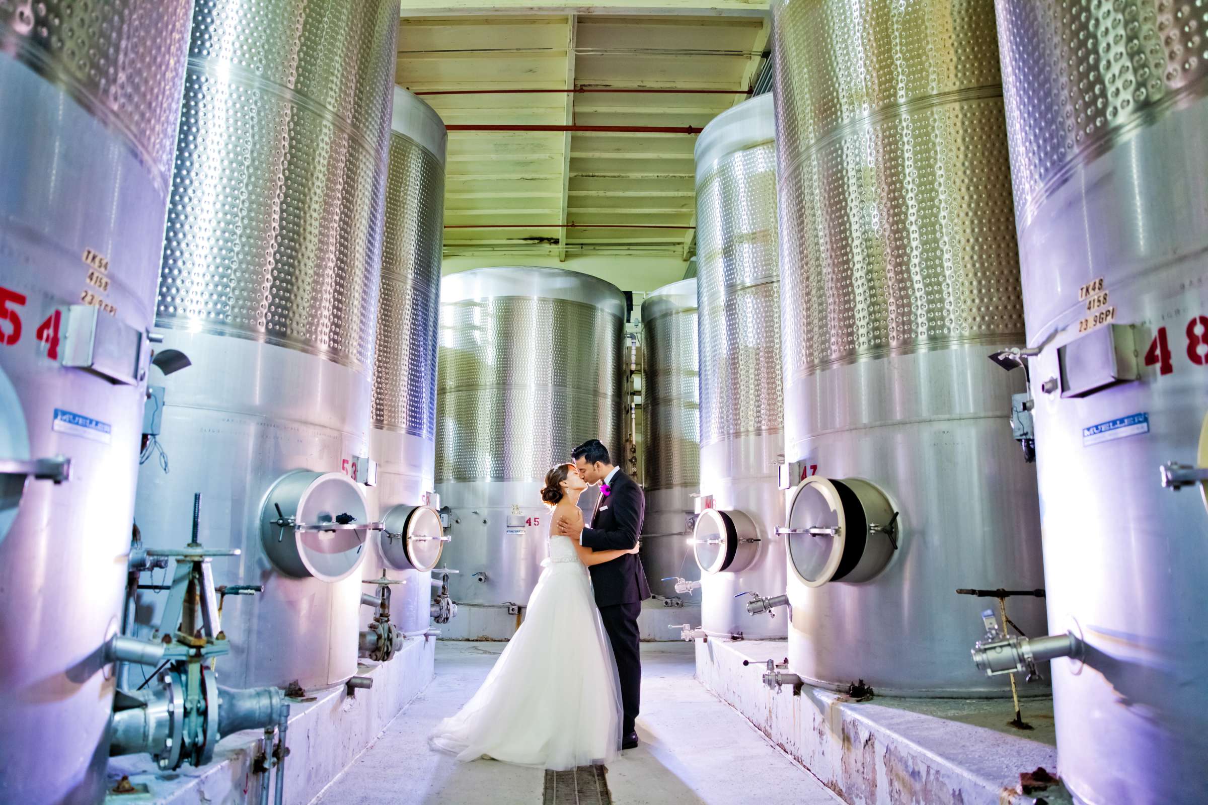 Winery at Callaway Vineyards & Winery Wedding coordinated by Michelle Garibay Events, Naomi and Partho Wedding Photo #367763 by True Photography