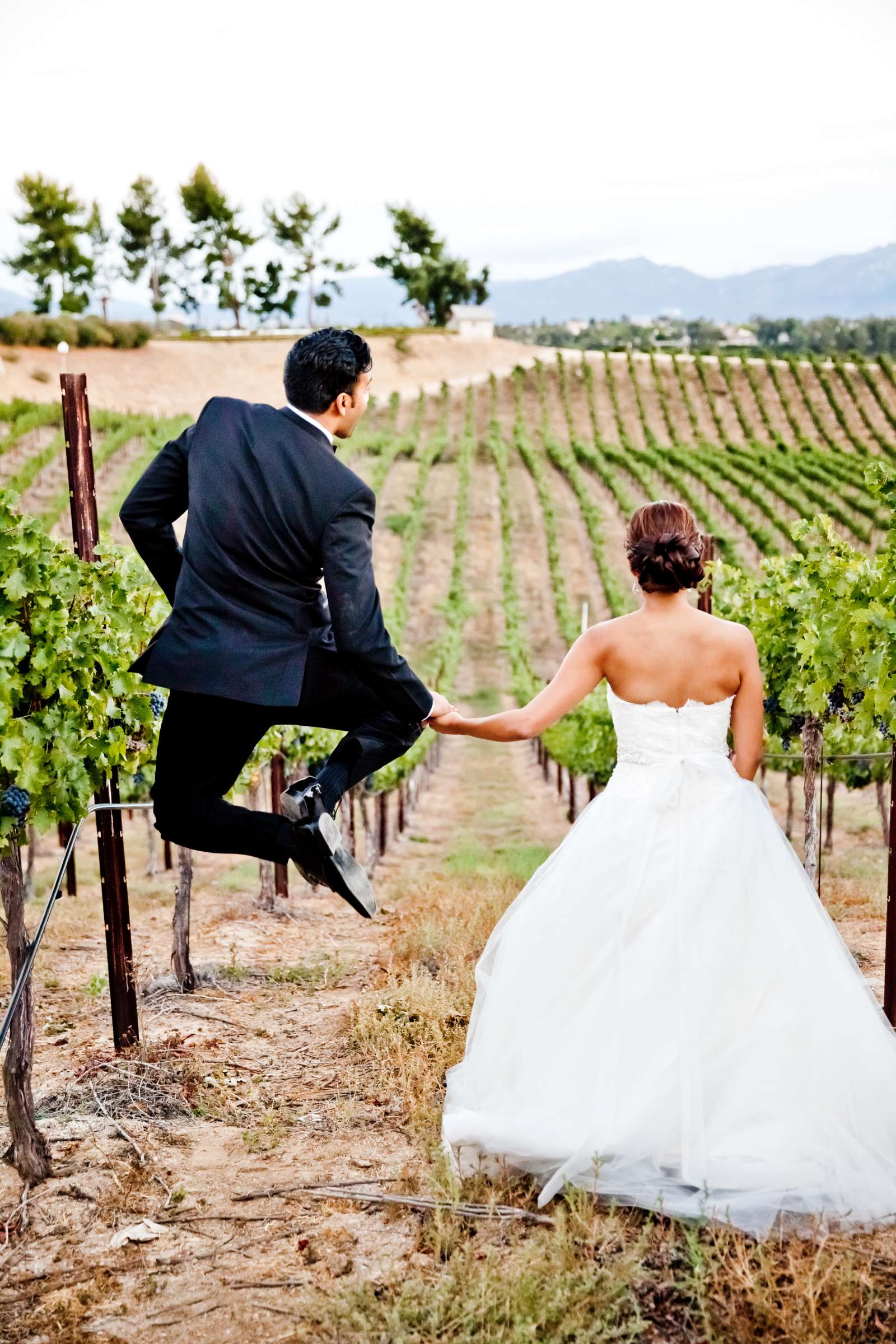Callaway Vineyards & Winery Wedding coordinated by Michelle Garibay Events, Naomi and Partho Wedding Photo #367768 by True Photography