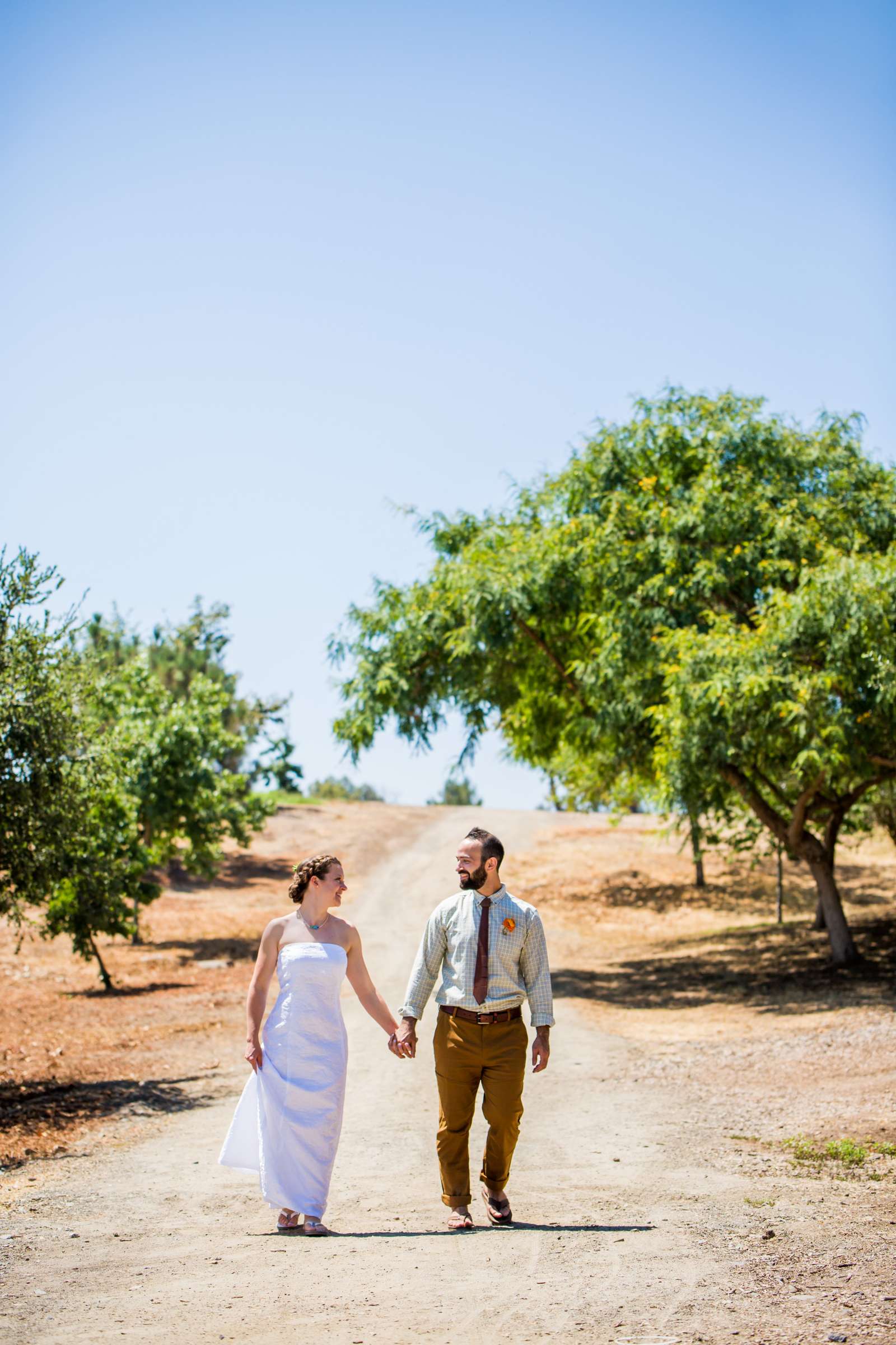 Wedding coordinated by Elements of Style, Katie and David Wedding Photo #489226 by True Photography