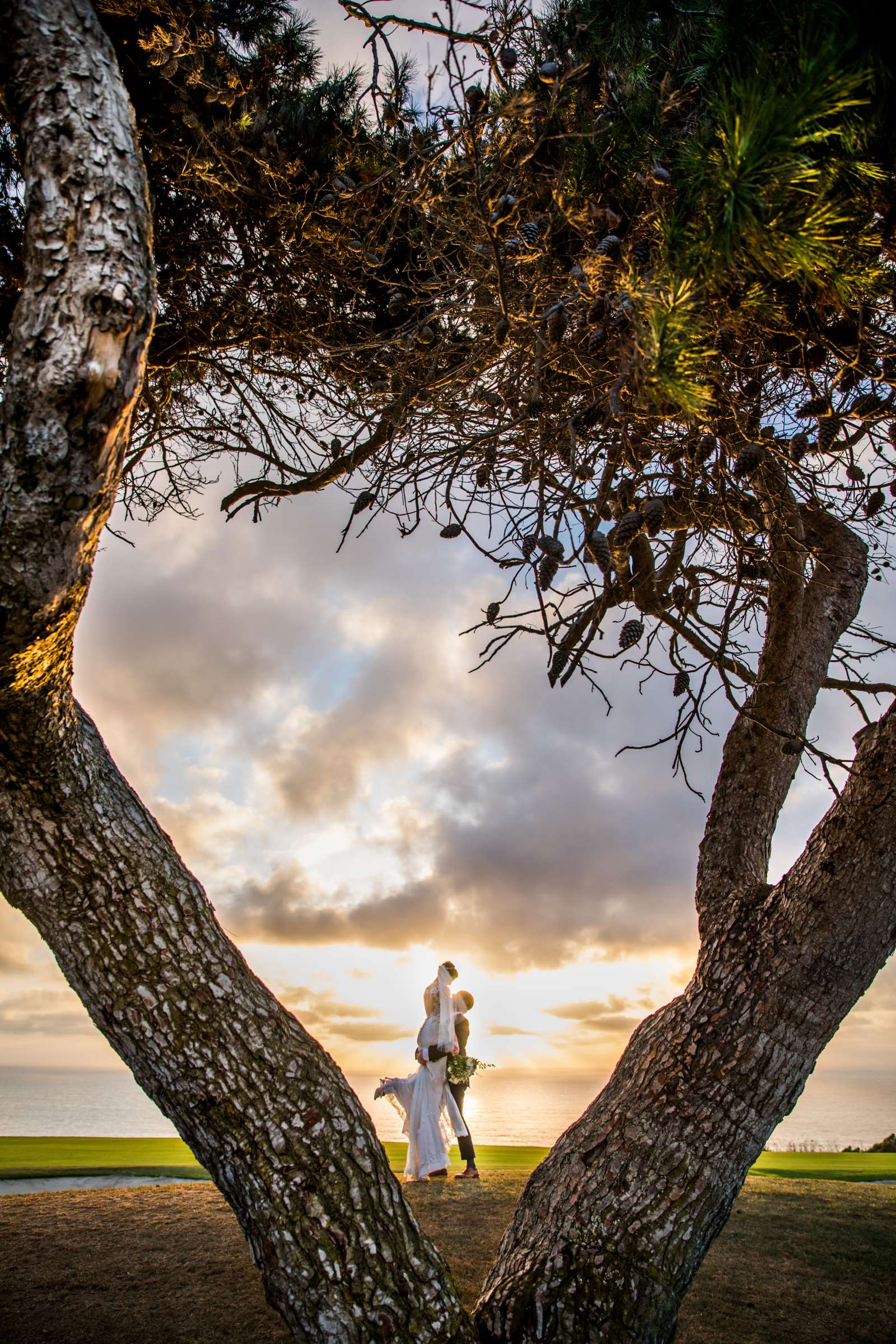 Lodge at Torrey Pines Wedding coordinated by CBS Weddings, Erin and Brendan Wedding Photo #502507 by True Photography
