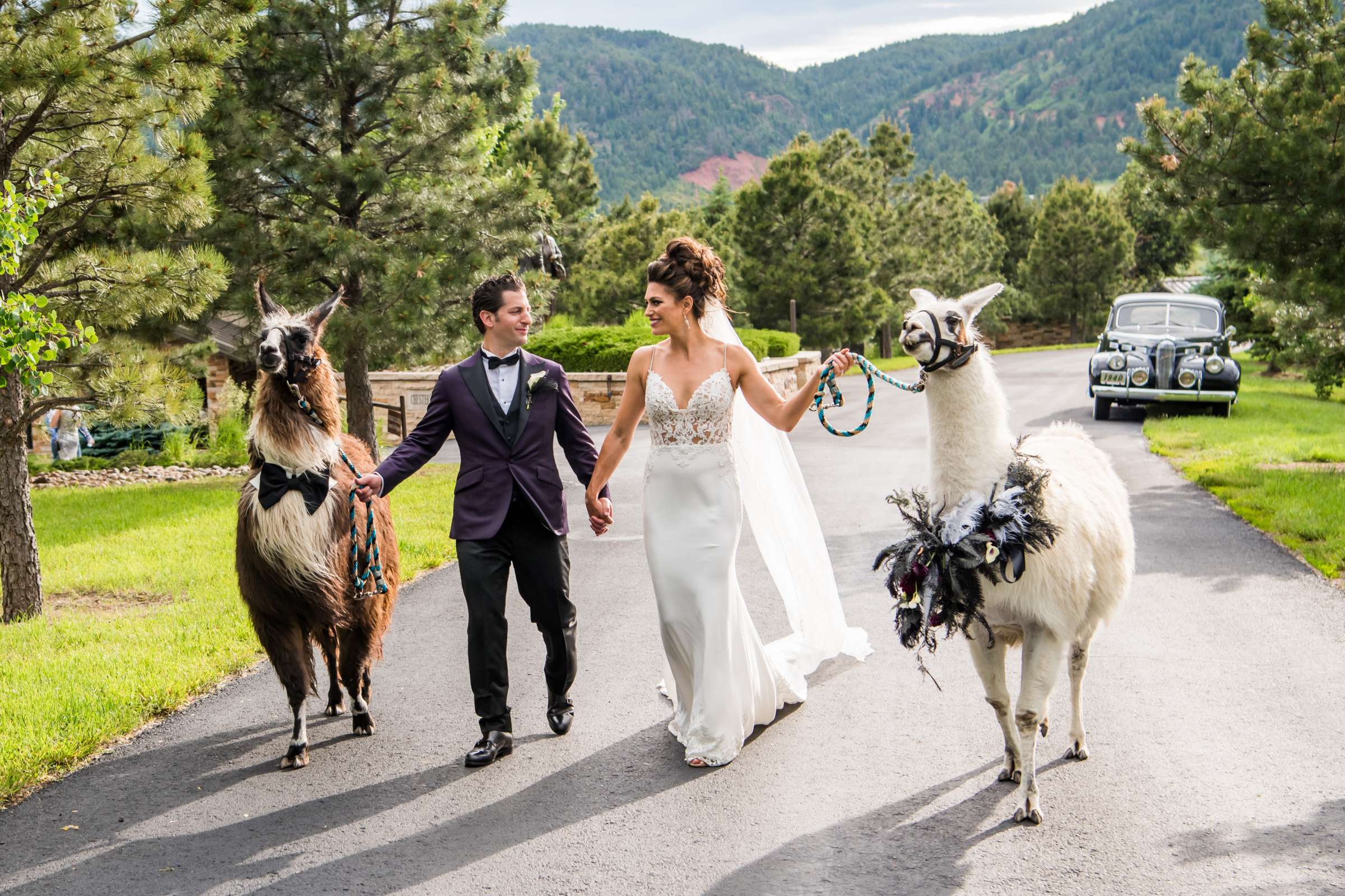 Spruce Mountain Wedding coordinated by A Touch Of Bliss, Jill and Jeff Wedding Photo #9 by True Photography