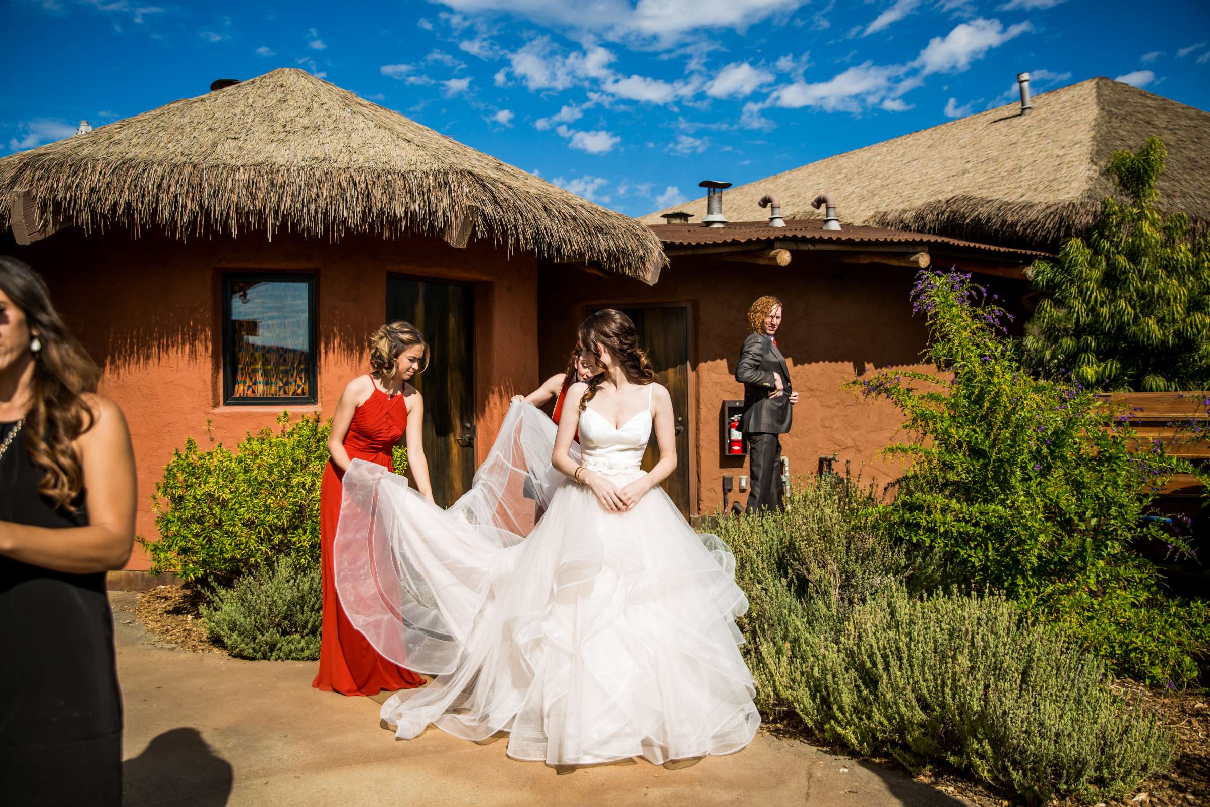 Safari Park Wedding coordinated by Always Flawless Productions, Lynx and Adam Wedding Photo #24 by True Photography