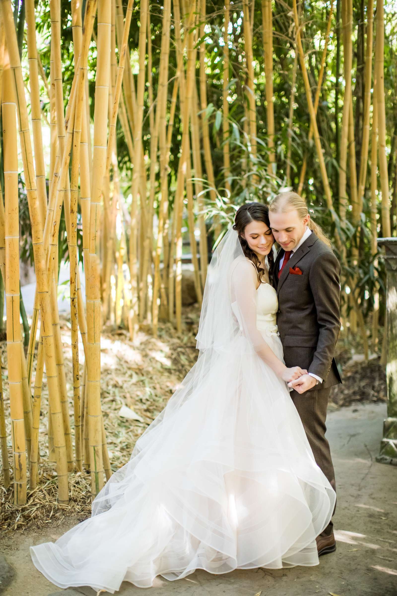 Safari Park Wedding coordinated by Always Flawless Productions, Lynx and Adam Wedding Photo #41 by True Photography