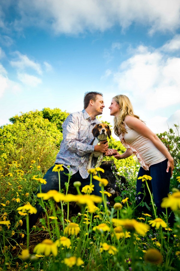 San Diego Wedding Photography of couple in a field with sunflowers and a beagle