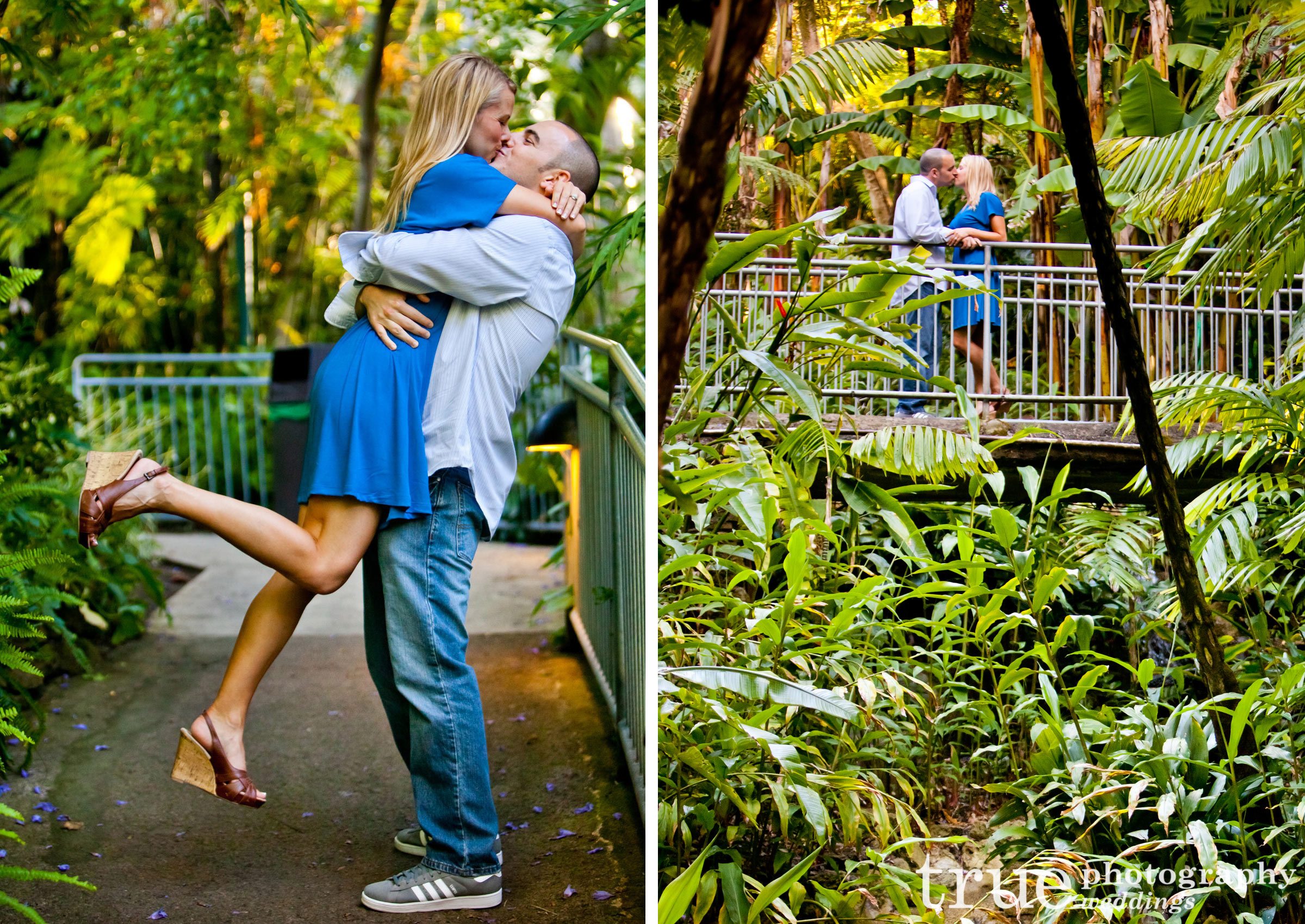 Kiss in the jungle at the Zoo