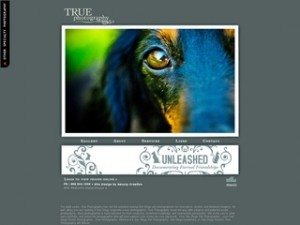 San Diego Pet Photography | Pet Portraiture | Pet Photography Specialists