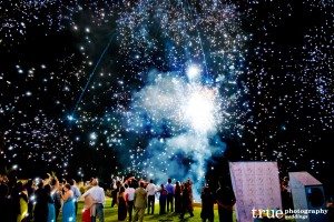 Favorite-Photo-of-the-Week-Wedding-Fireworks-