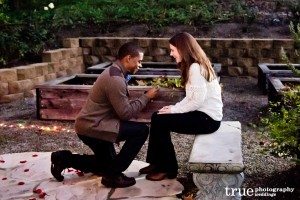 San-Diego-Marriage-Proposal-Photographed