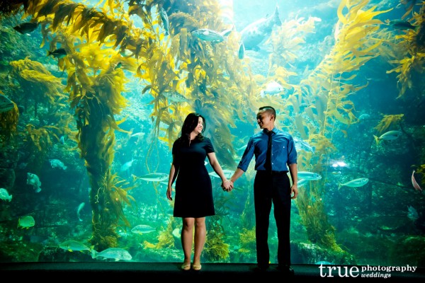 Engagement-Photo-Shoot-at-Birch-Aquarium-