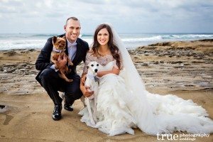 Bride-and-groom-with-dogs-at-wedding-