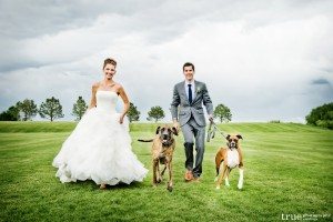 Our wedding couple Sandra and Craig with their dogs