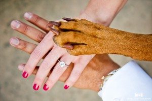 photo of engagement couple and dog paw