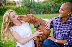 dog kissing bride to be engagement shoot
