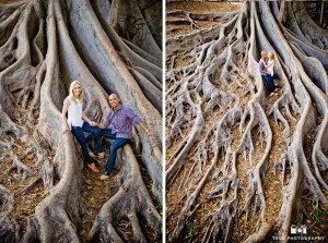 gnarly tree portraits