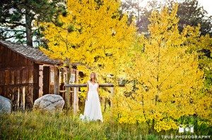 tree and bridal gown at wild basin lodge