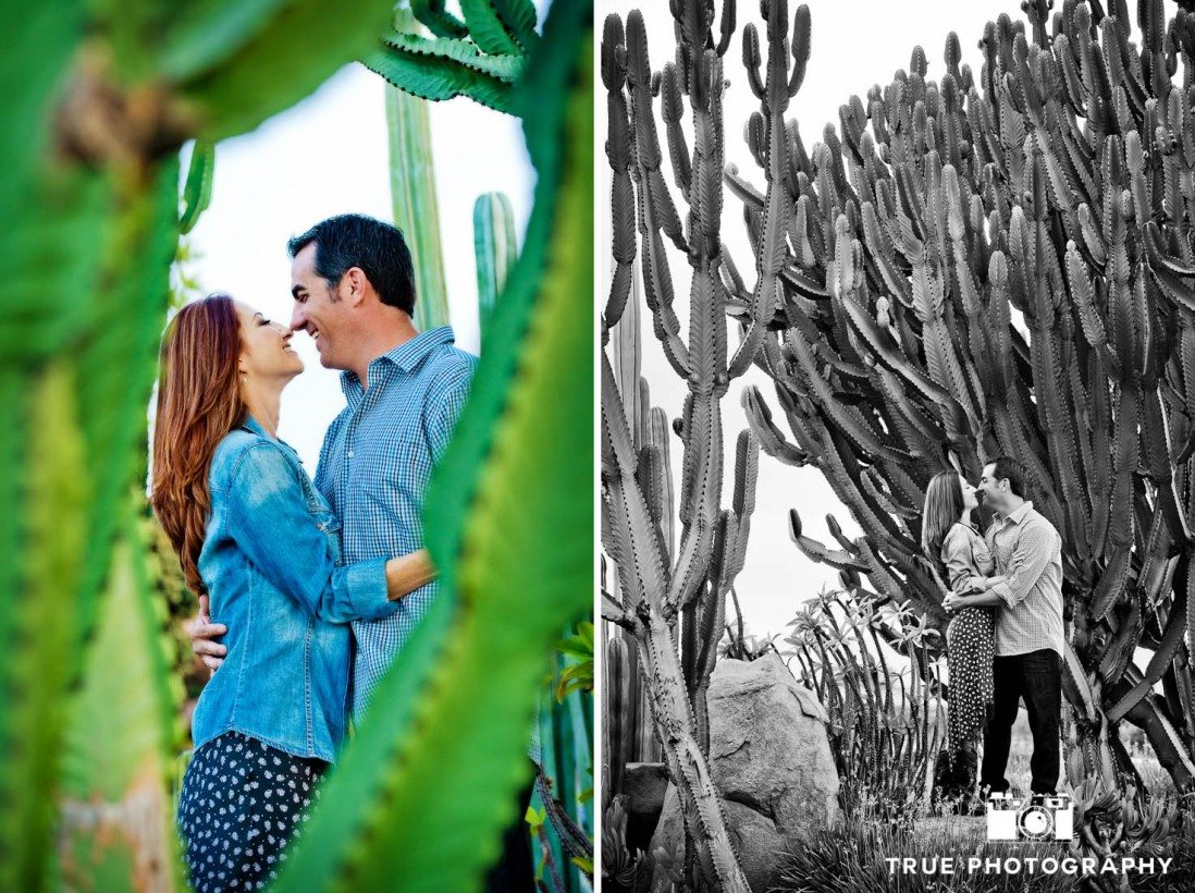 couple standing with cactus at Seaport Village Engagement Photo Shoot