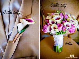 Collage image of calla lily