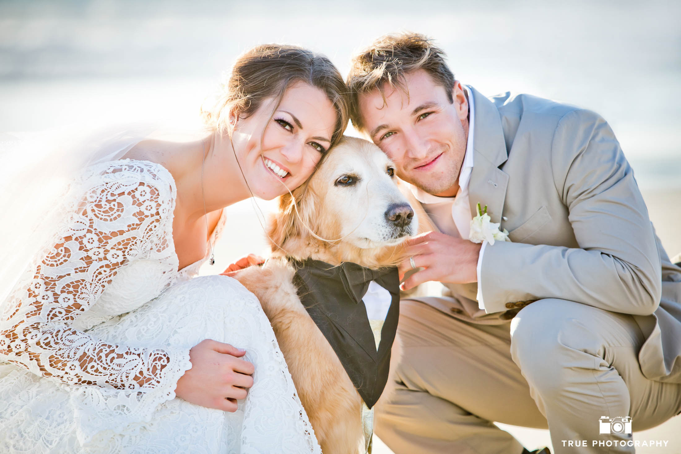 Yellow lab with wedding outfit and newlyweds