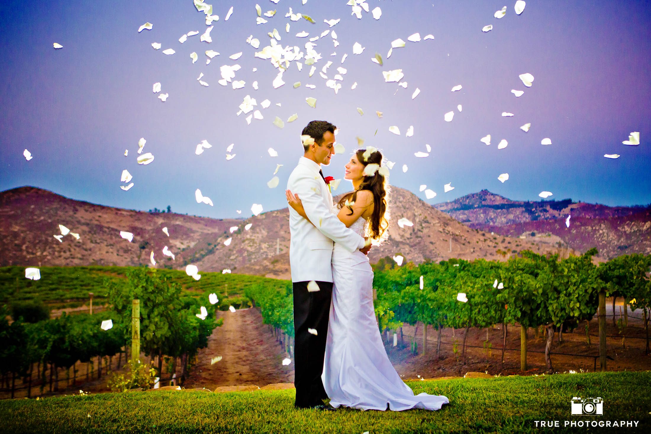 Couple pose with flowers in air around them