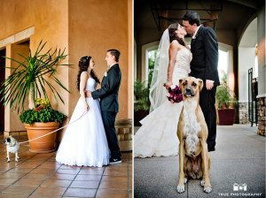 Bride and Groom with dogs