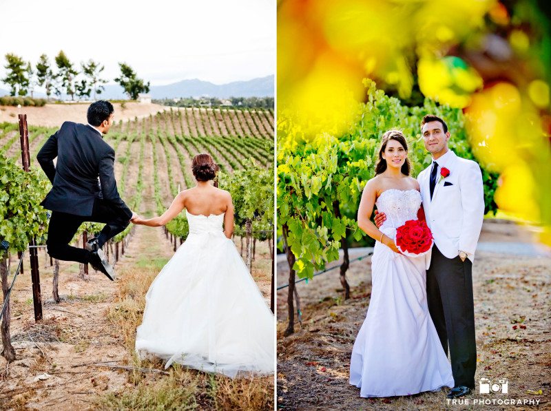 Couples celebrate and pose for photos after vineyard ceremony