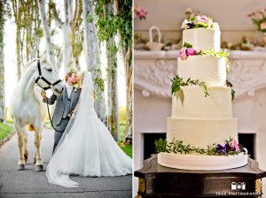 Couple with horse and rustic wedding cake