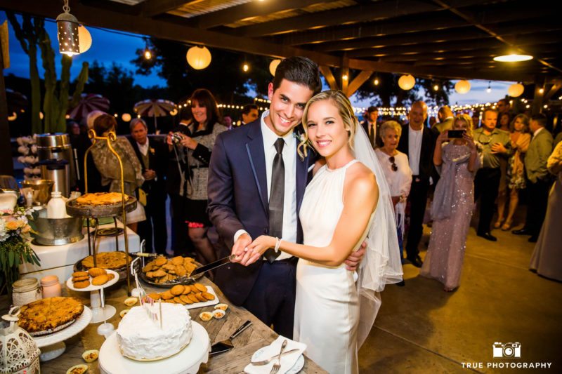 Bride and Groom hold knife and begin to cut cake as guests watch during outdoor wedding reception