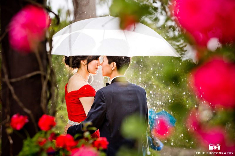 A couple takes a garden walk in the rain.