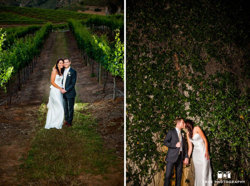 stylish bride and groom in vineyard on wedding day