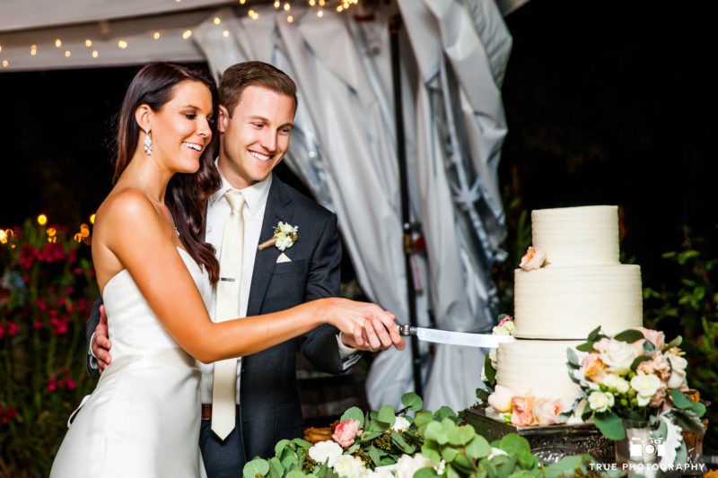 Bride and Groom cut rustic wedding cake during reception