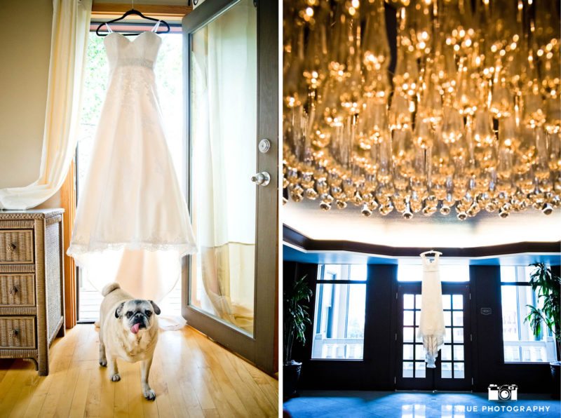 Funny and creative portrait of wedding dress with pug and chandelier