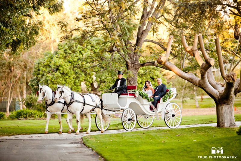 Bride rides with father in horse drawn carriage before wedding ceremony