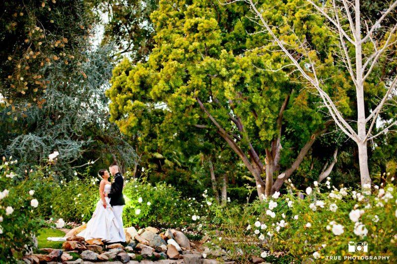 Creative back-lit portrait of Bride and Groom embracing in garden