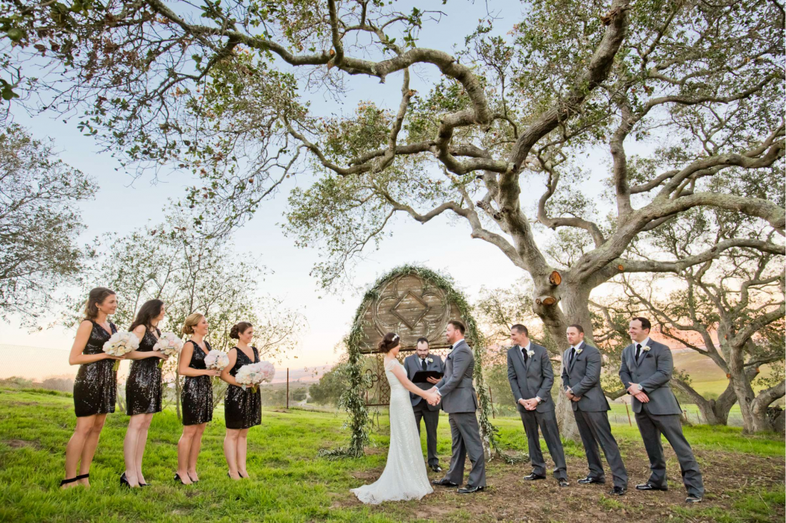 Golden hour wedding ceremony photographed by True Photography