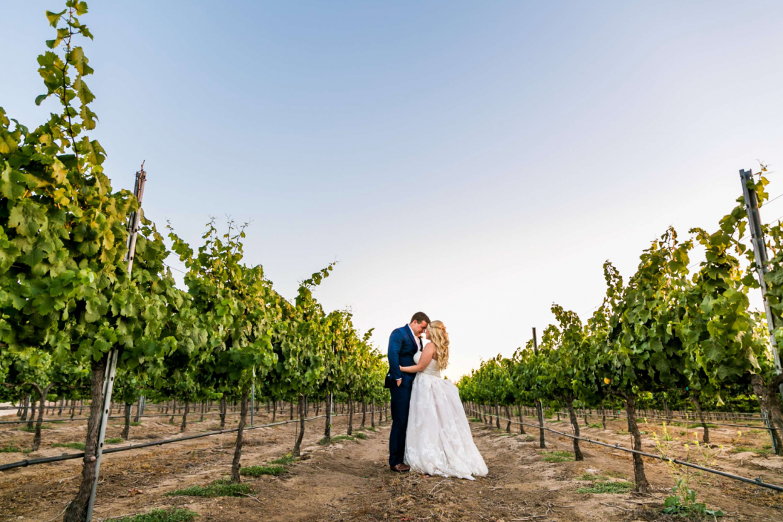 Bride and Groom in a grape field at Mount Palomar Winery