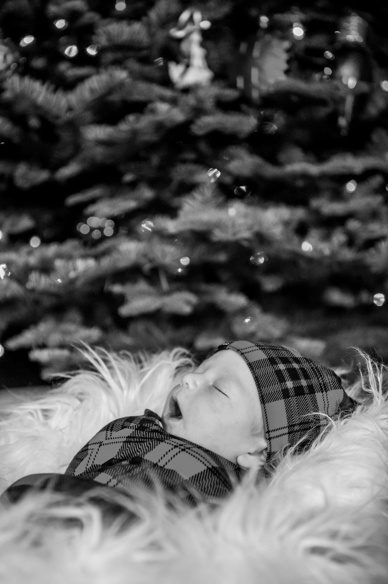 Newborn Photo Session, Gianna S. Newborn Photo #7 by True Photography