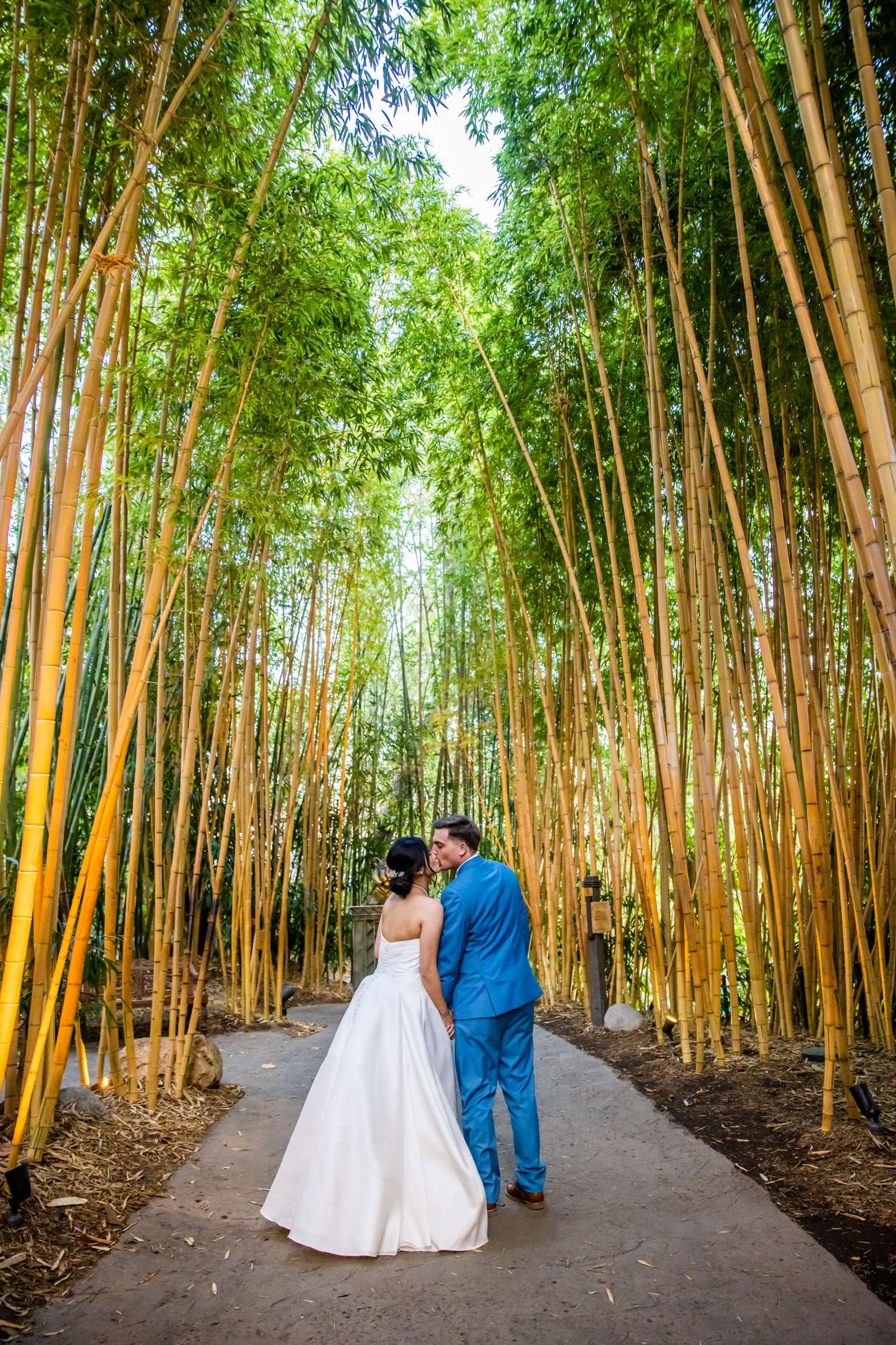 Safari Park Wedding coordinated by Always Flawless Productions, Kanke and Brett Wedding Photo #1 by True Photography