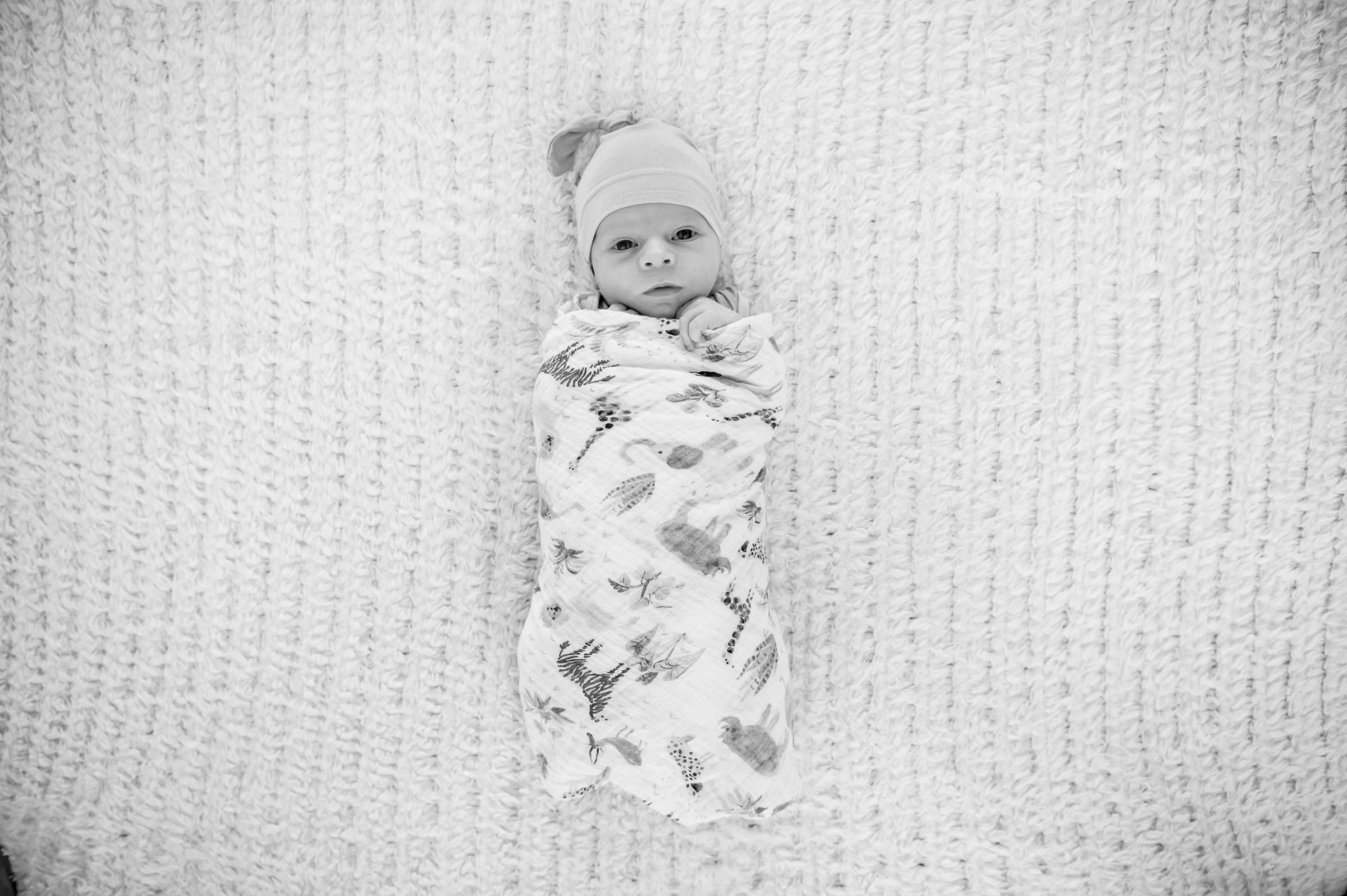 Newborn Photo Session, Sara and Jake Newborn Photo #26 by True Photography