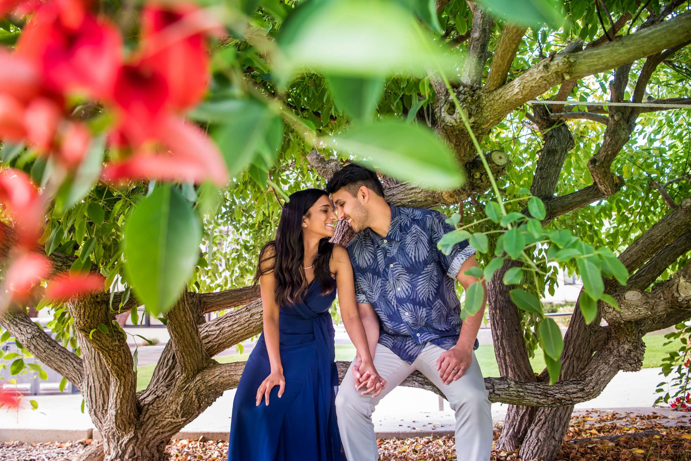 Engagement, Chandni and Smit Engagement Photo #11 by True Photography
