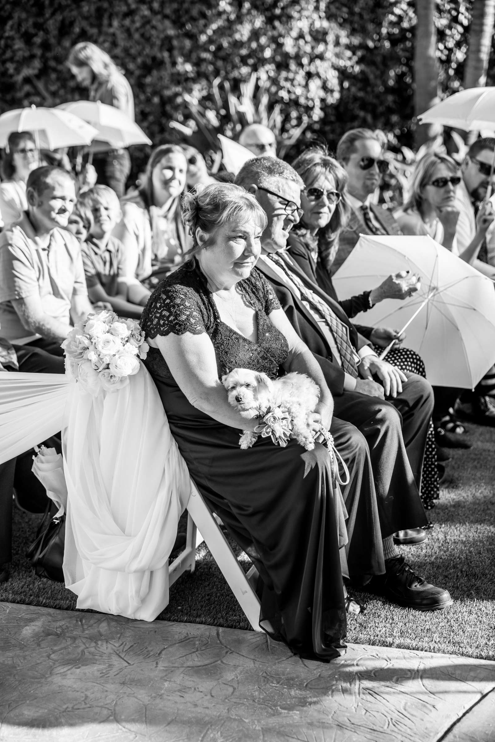 Grand Tradition Estate Wedding, Amy and Ryan Wedding Photo #74 by True Photography
