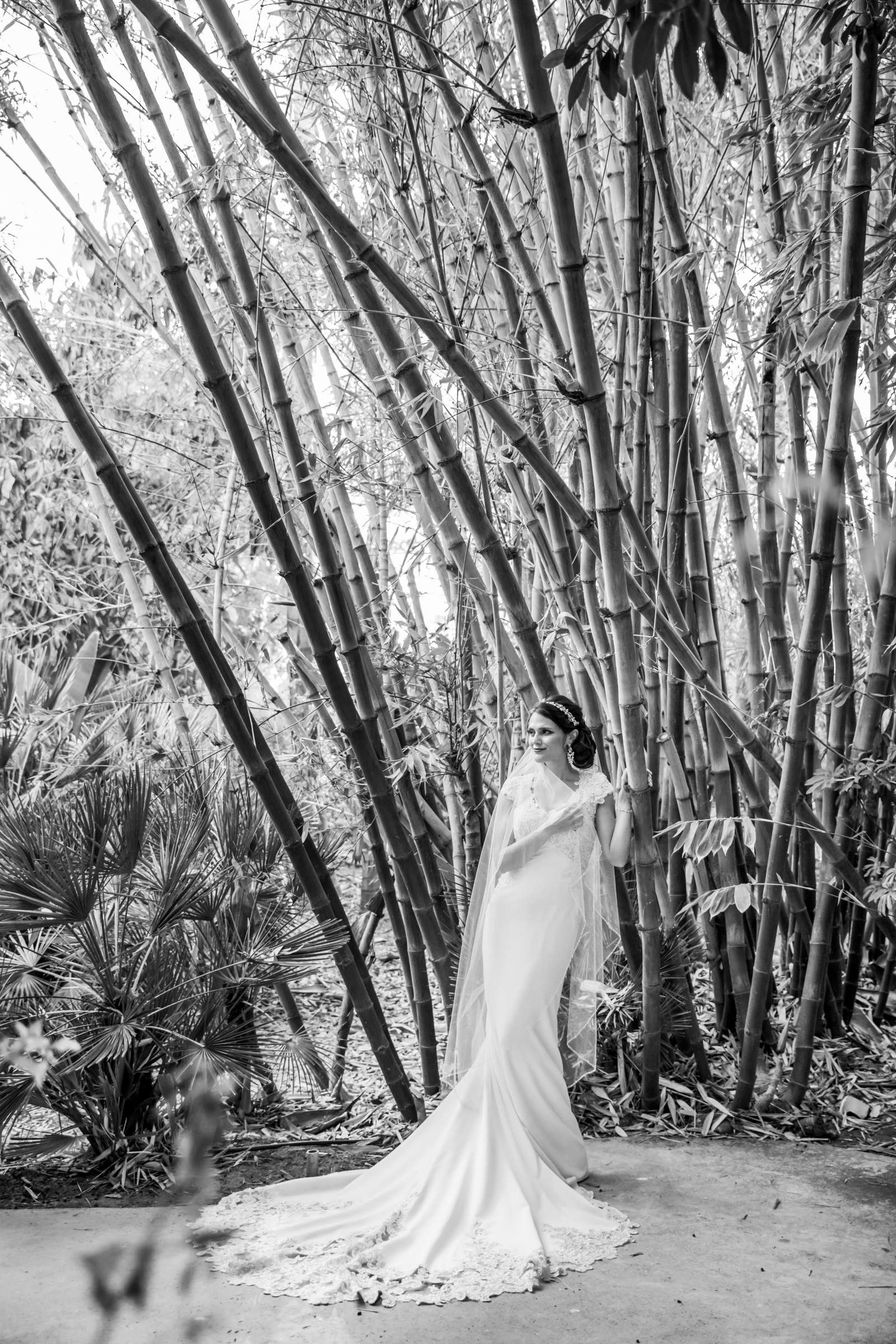 Botanica the Venue Wedding, Nicole and David Wedding Photo #101 by True Photography