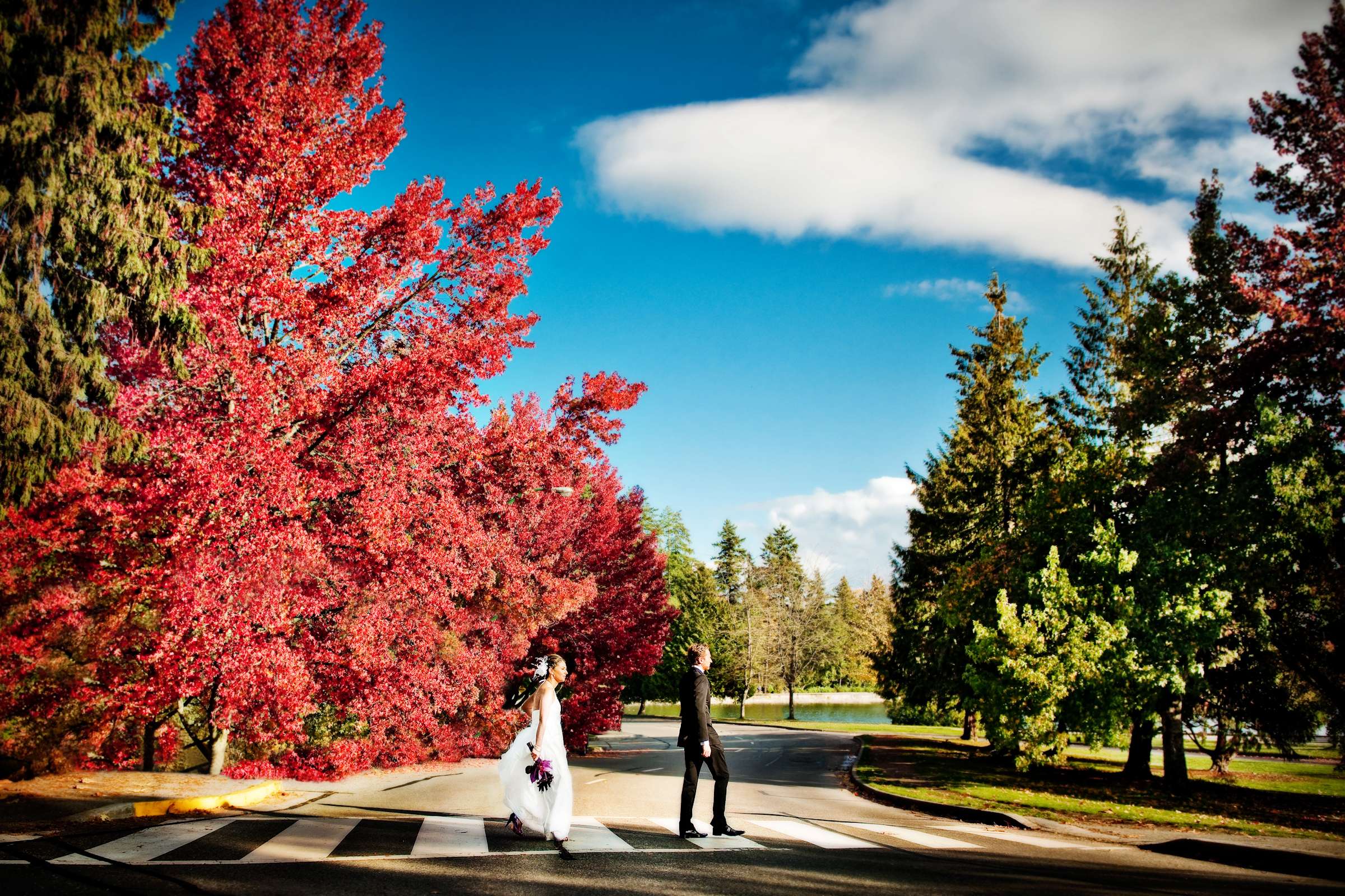 At the Park at Four Seasons Vancouver Wedding coordinated by Four Seasons Vancouver, Nazila and James Wedding Photo #20 by True Photography