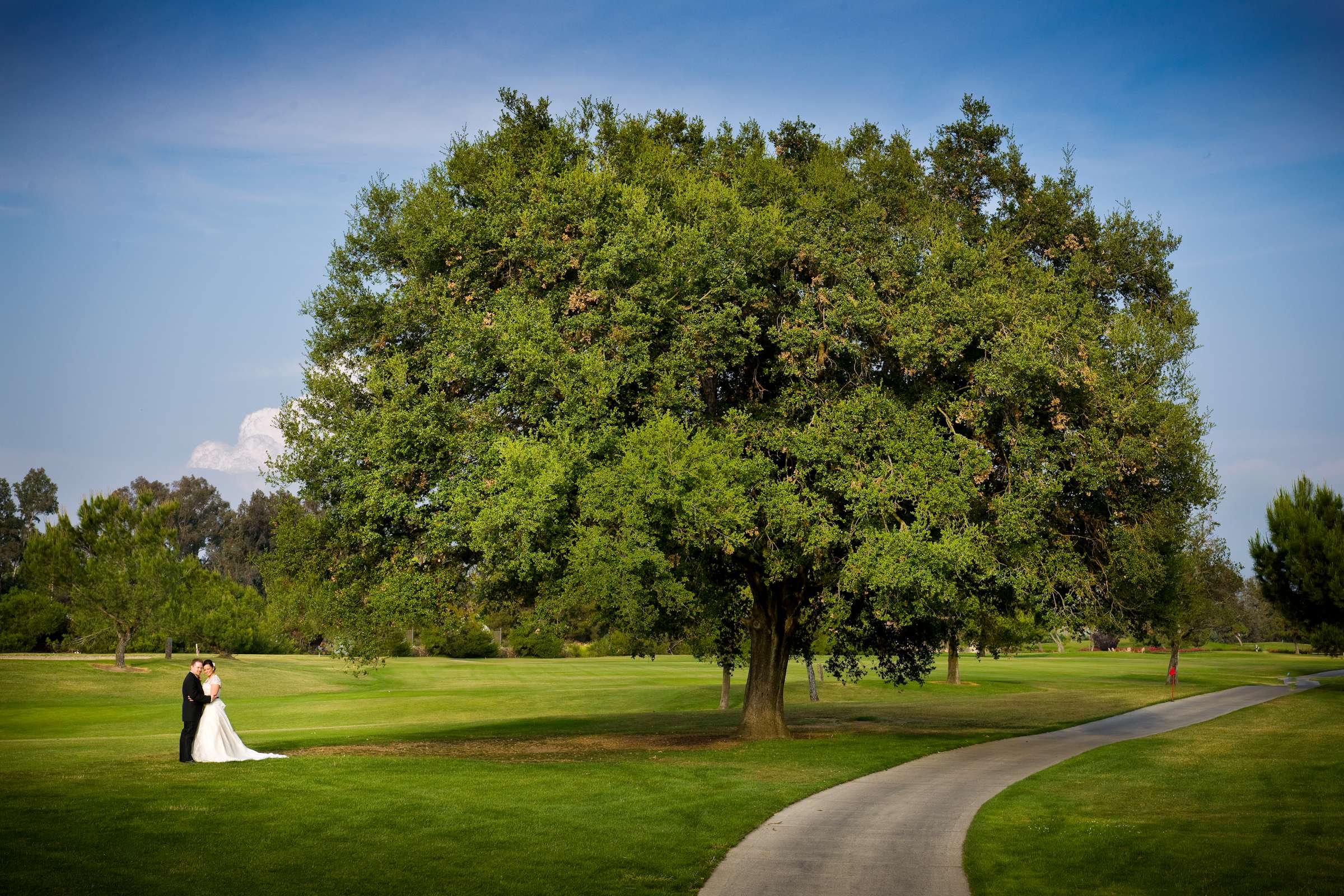 Golf Course at Temecula Creek Inn Wedding coordinated by The Socialites, Stefani and James Wedding Photo #7327 by True Photography