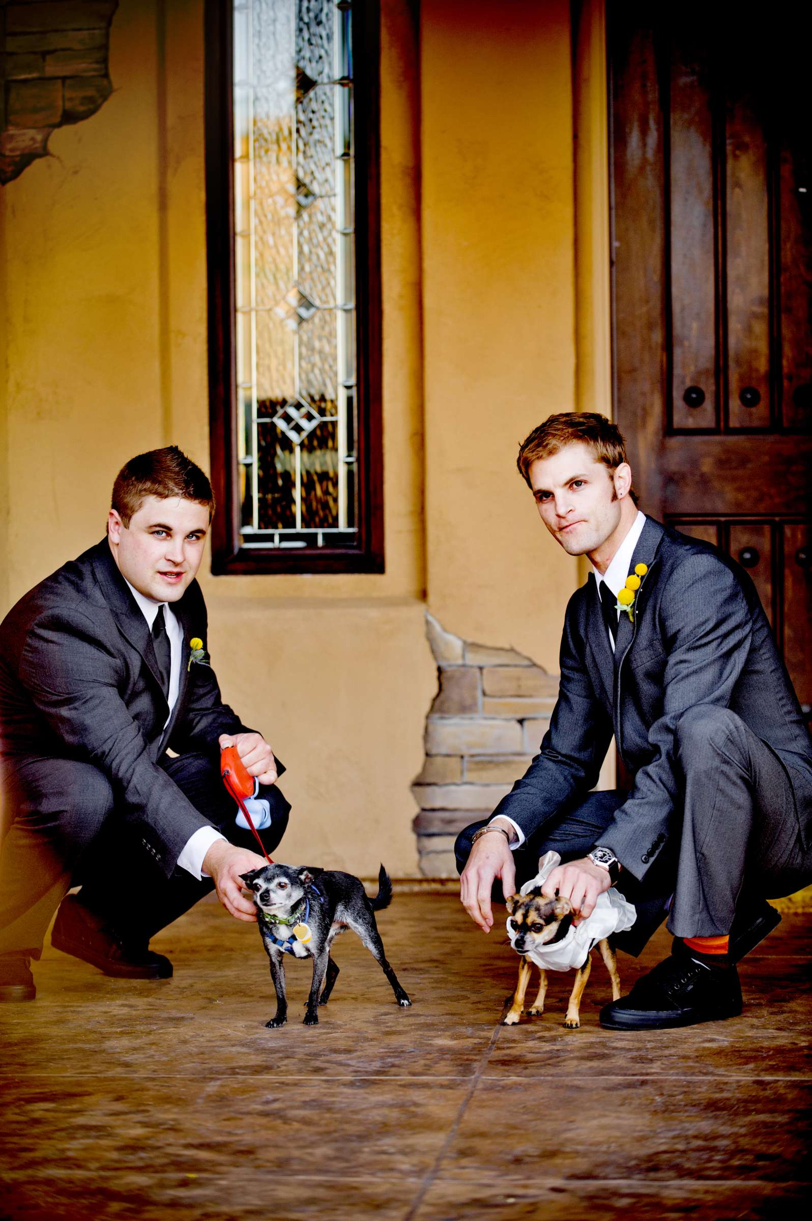Pets at Wedding, Megan and Wade Wedding Photo #13 by True Photography