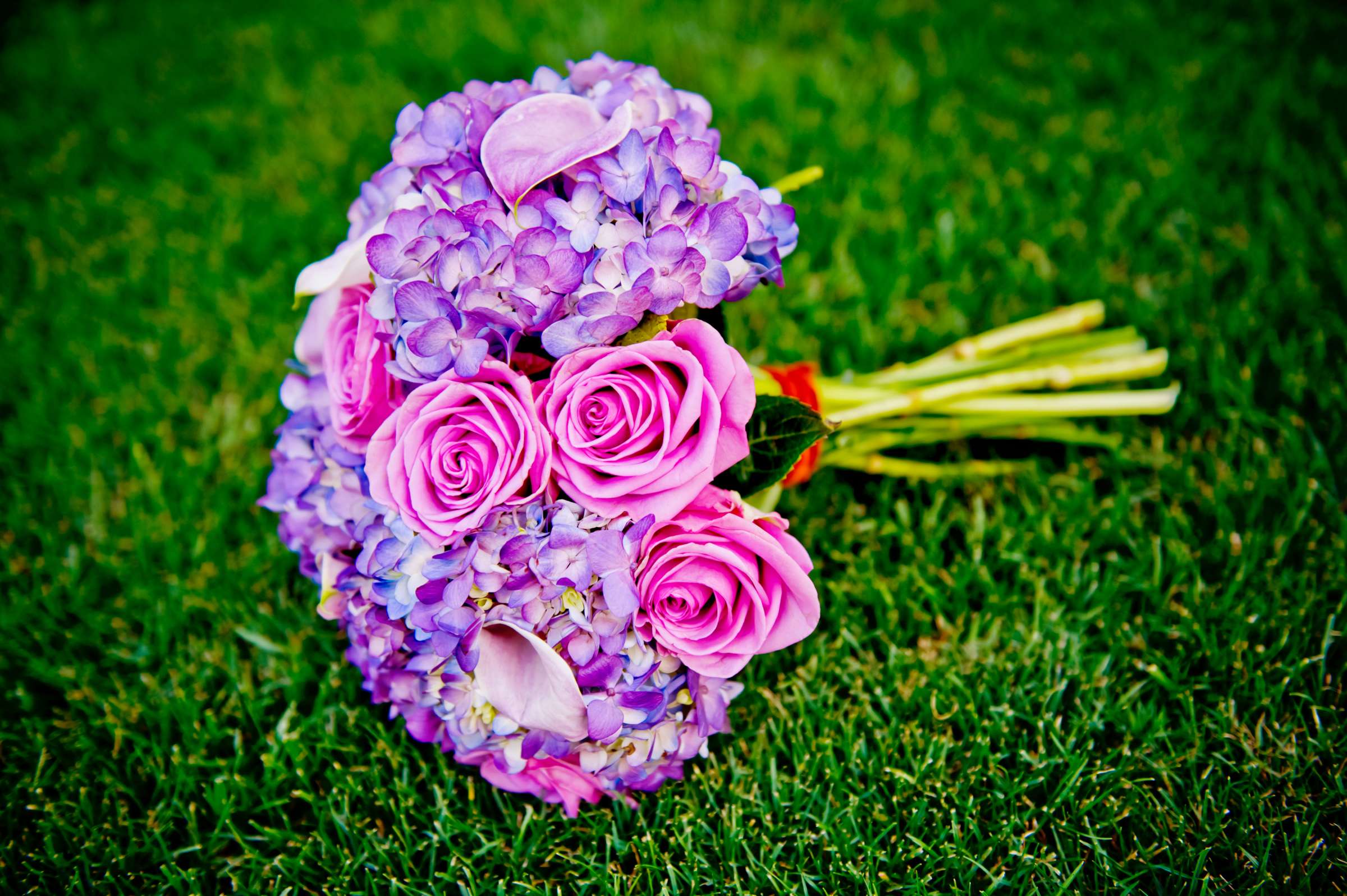 Carmel Mountain Ranch Wedding, Catelynn and Eddie Wedding Photo #30 by True Photography