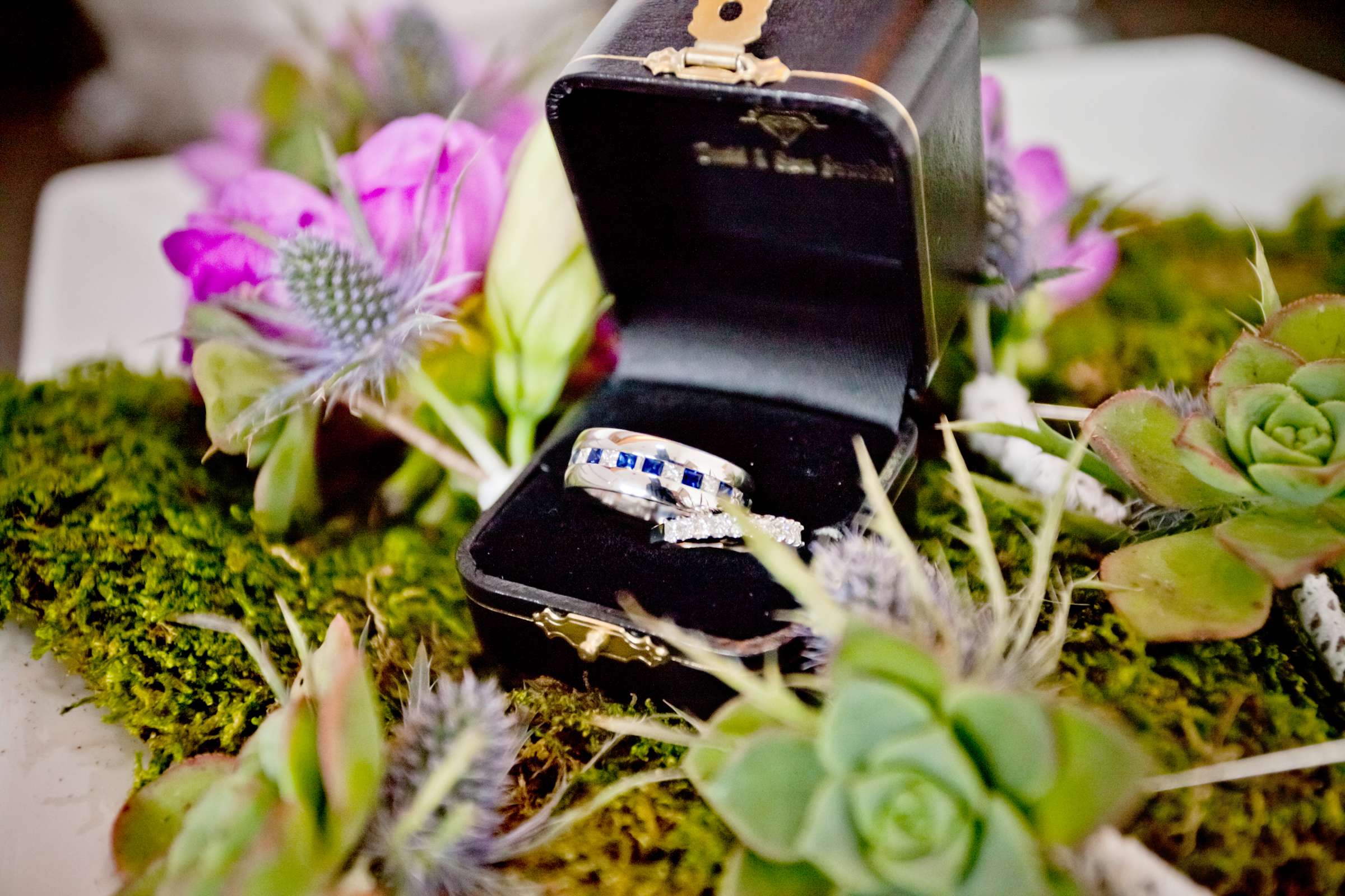 Rings at Scripps Seaside Forum Wedding coordinated by I Do Weddings, Lydia and Olin Wedding Photo #87195 by True Photography