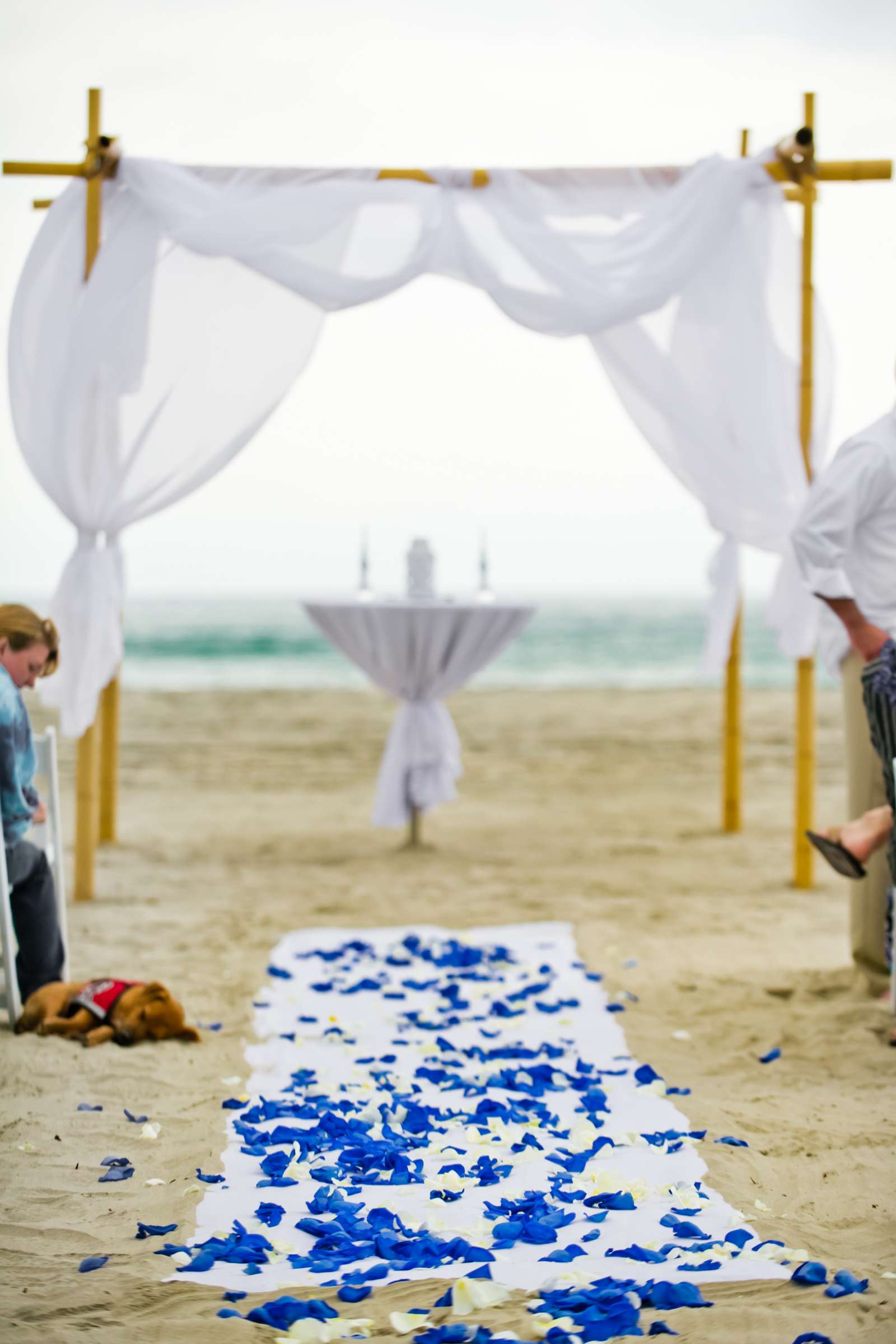 Del Mar Beach Resort Wedding, Pamela and George Wedding Photo #94188 by True Photography