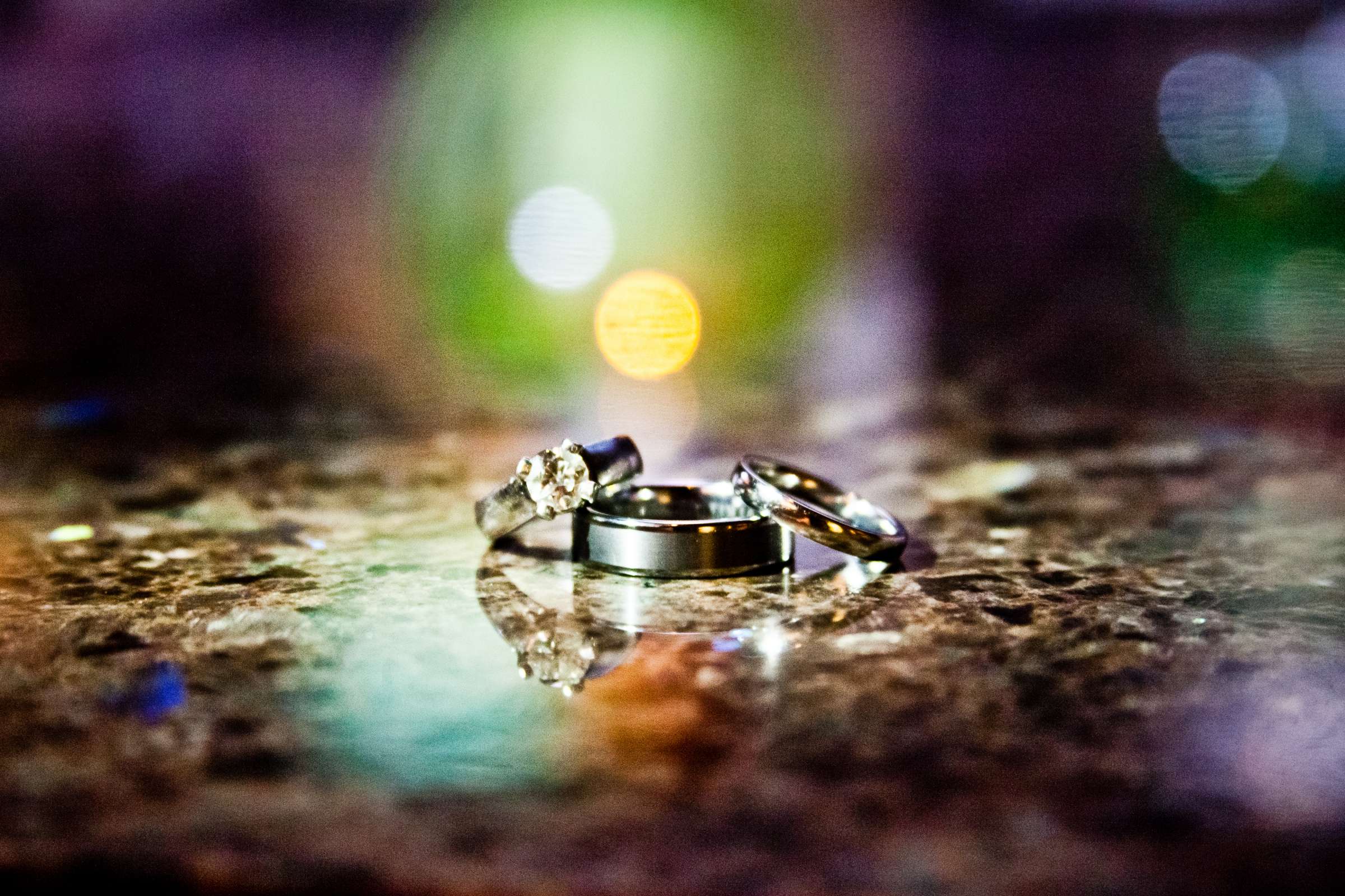 Rings at Coronado Island Marriott Resort & Spa Wedding, Mary and Sean Wedding Photo #107857 by True Photography